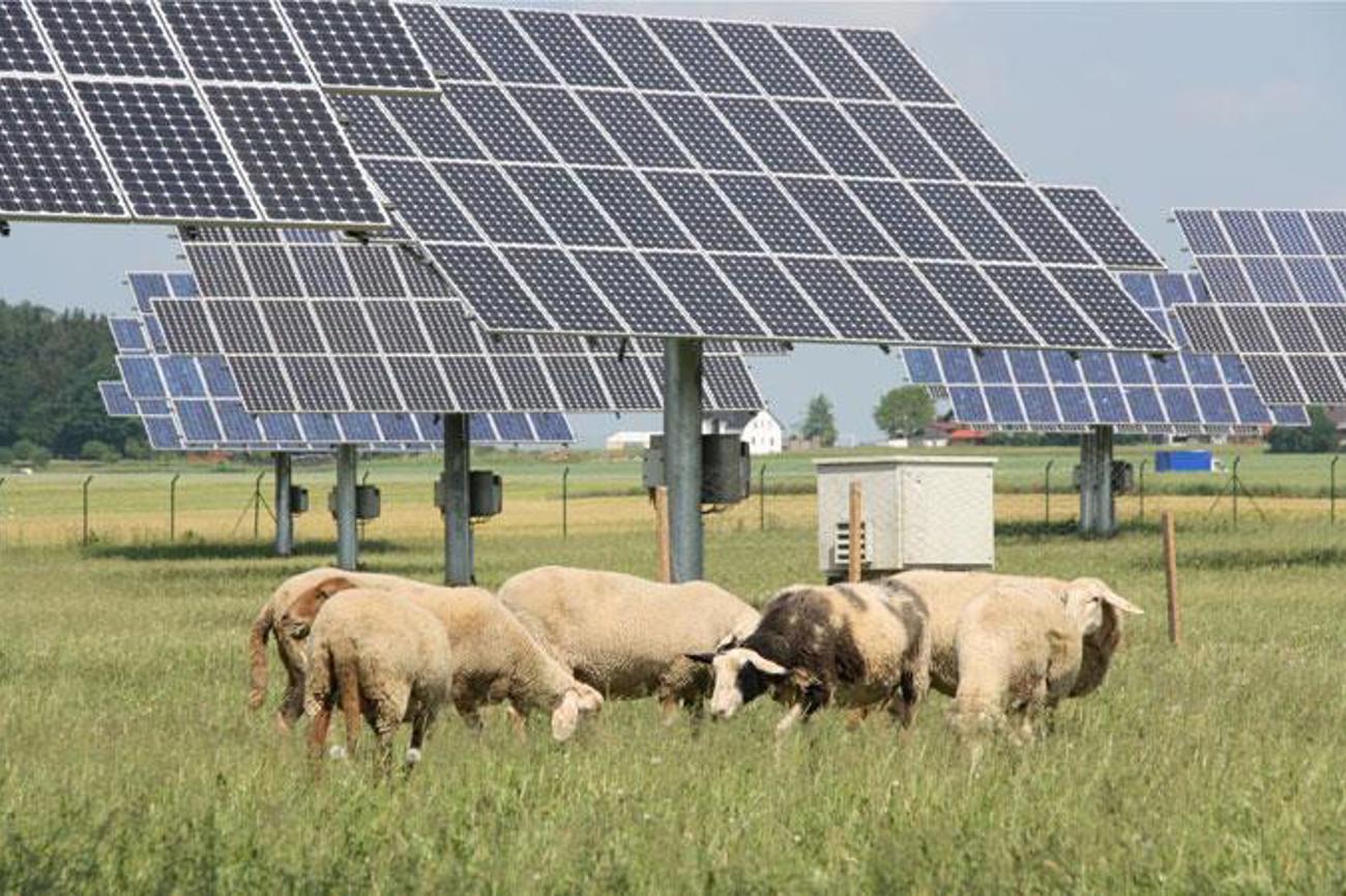 Die Energiewende steht zur Abstimmung: Statt Atom soll Solarenergie die Lücke stopfen. | wikipedia
