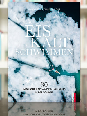 2502 Buchtipp Eiskalt Schwimmen Stangier