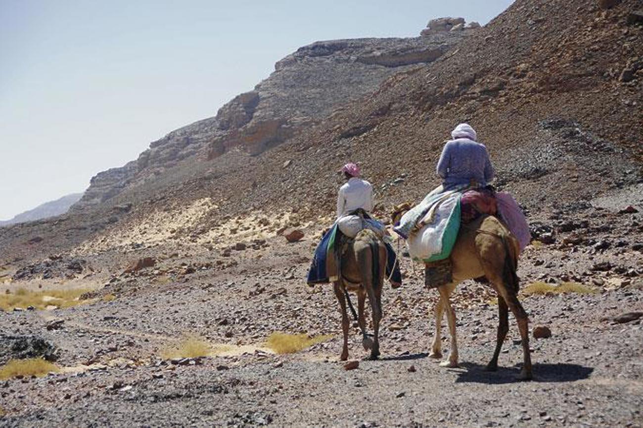 Unterwegs durch Ägypten: Die Reise als verbindendes Element. (Foto: Baldinger)