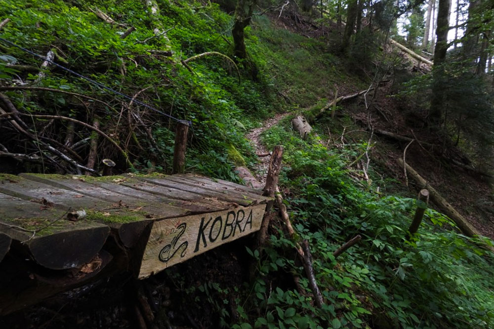 Steile wilde Waldwelt. | Foto: Marius Schären