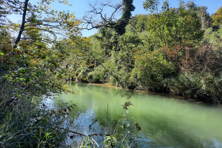 Flaschengrün fliesst das Wasser des Industriekanals, gesäumt von fast tropisch dichter Vegetation. | Foto: Hans Hermann