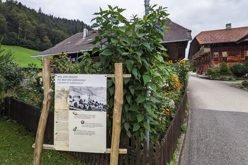 Am Anfang des Truber Täuferwegs herrscht noch die Idylle vor. | Foto: Marius Schären