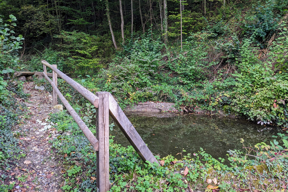 Am Ende des Wegs liegt ein kleiner Teich mit drei Bänken. | Foto: Isabelle Berger