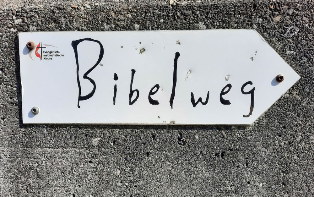 Auf dem Weg zu den Geheimnissen der Bibel und den Schönheiten des Auenwaldes. | Foto: Hans Herrmann