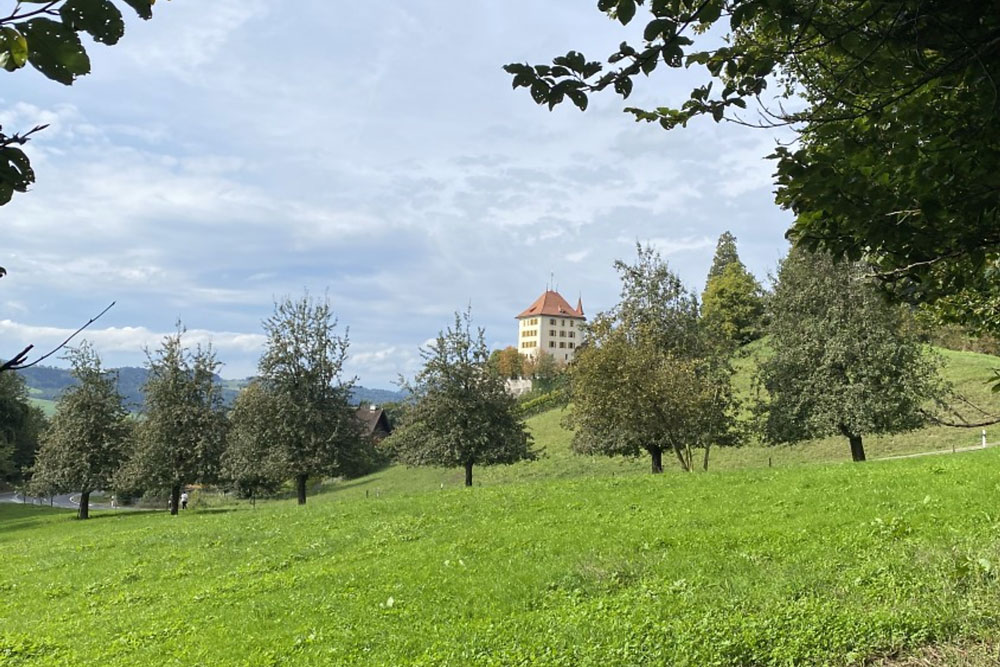 In der Ferne sieht man schon das nächste Etappenziel, Schloss Heidegg. | Foto: Mirjam Messerli