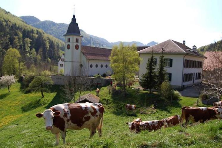Neues Leben  im Kloster Beinwil